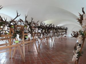 Chovatelská přehlídka trofejí